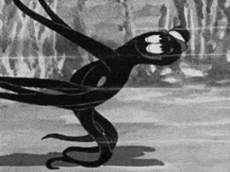 ADD/ADHD Coaching  for Women at 🐙 Octopus ADHD Coaching — Kristin Galbreaith, CACP